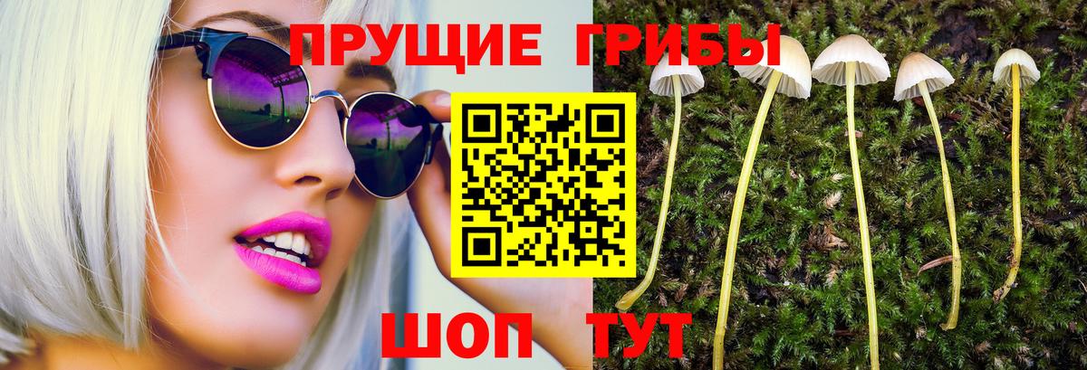 Каменск-Шахтинский  Галлюциногенные грибы мухоморы  сколько стоит  Вход с VPN 