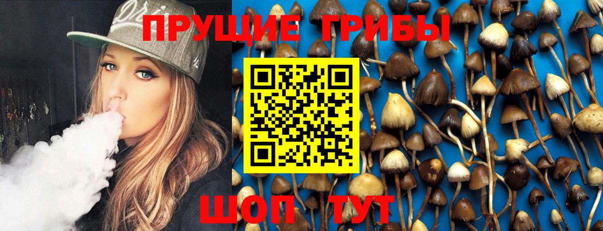 Псилоцибиновые грибы Magic Shrooms Каменск-Шахтинский