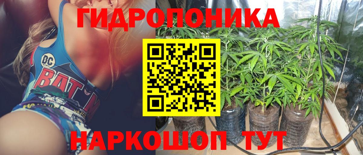 МАРИХУАНА планчик  Бошки марихуана OG Kush  Вход с VPN  Каменск-Шахтинский  Марихуана сатива  Шишки марихуана гибрид 